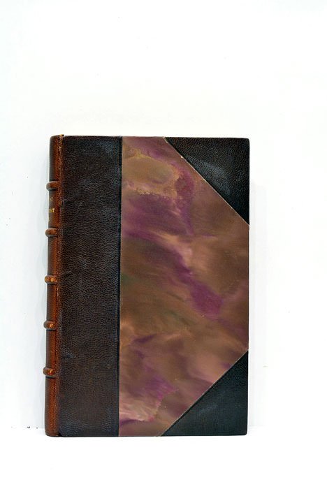 Ce qui était perdu. Roman.