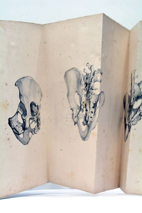 Clinique chirurgicale.