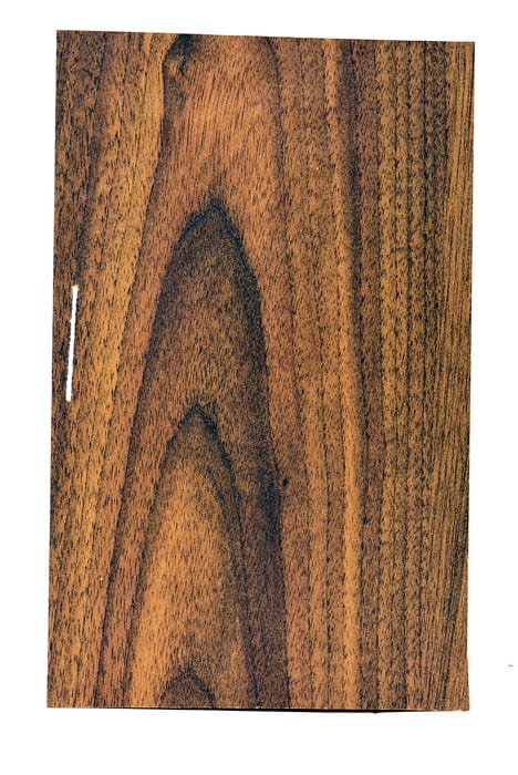 Cloisonneur Vésical gradué.