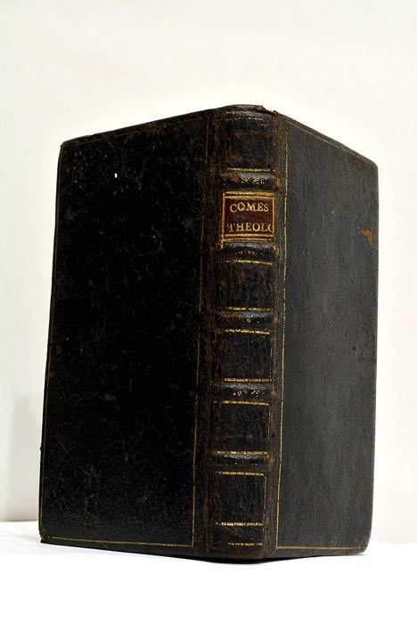 Comes theologus, sive Spicilegium ex sacra messe