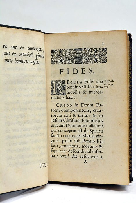 Comes theologus, sive Spicilegium ex sacra messe