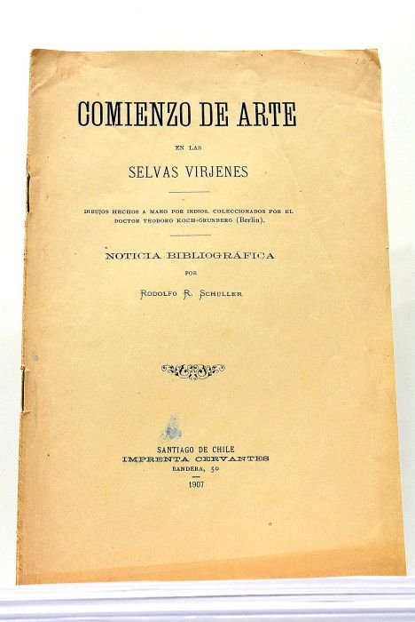 Comienzo de Arte en las Selvas Virjenes. Dibujos hechos a …