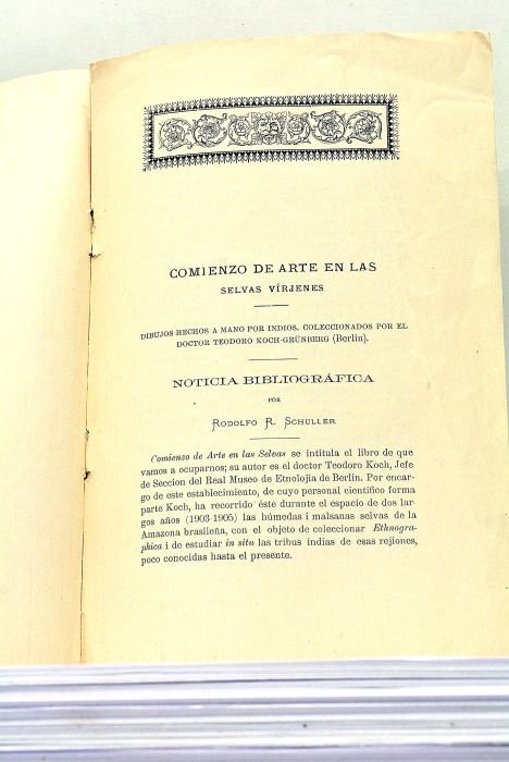 Comienzo de Arte en las Selvas Virjenes. Dibujos hechos a …