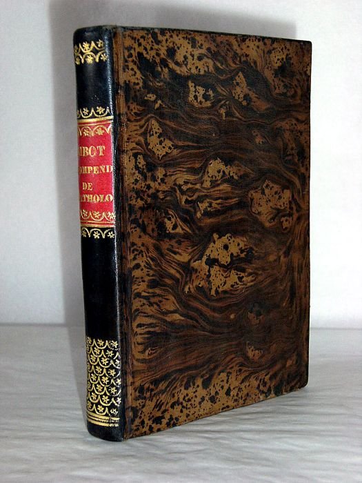 Compendio de las Lecciones de Pathología General. Publicadas por algunos …