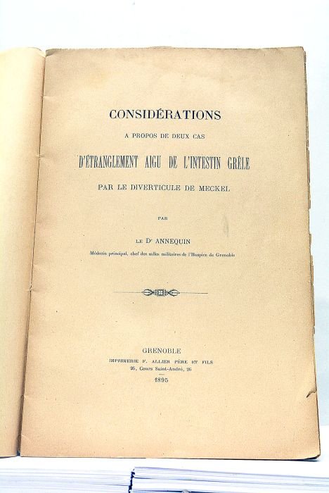 Considérations à propos de deux cas d'Etranglement Aigu de l'Intestin …