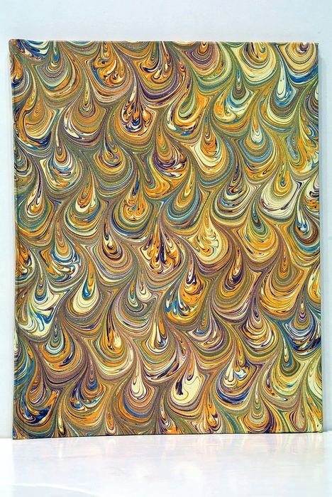 Considérations sur le Végétal vu dans des Rapports Anatomiques, Physiologiques …