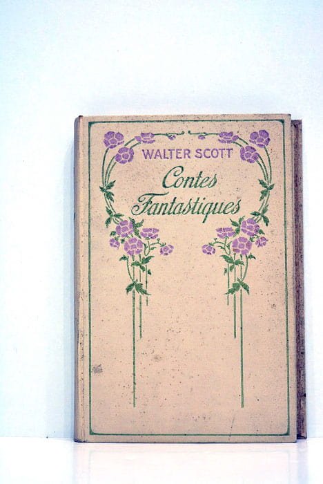 Contes fantastiques.