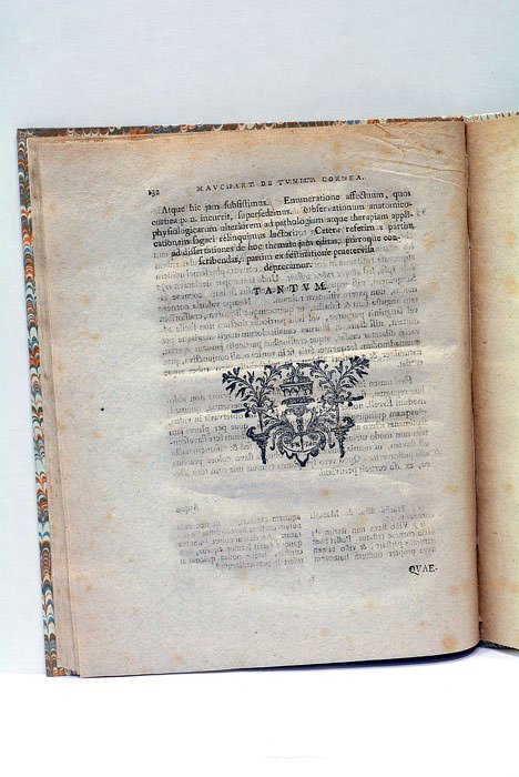 Cornea Oculi Tunicae examen.