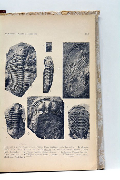 Cours de Géologie et de Minéralogie. Quatrième édition revue et …