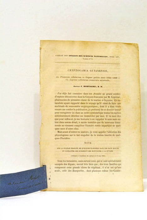 Cryptogamia Guyanensis seu Plantarum Cellularum in Guyana gallica annis 1835-1849 …