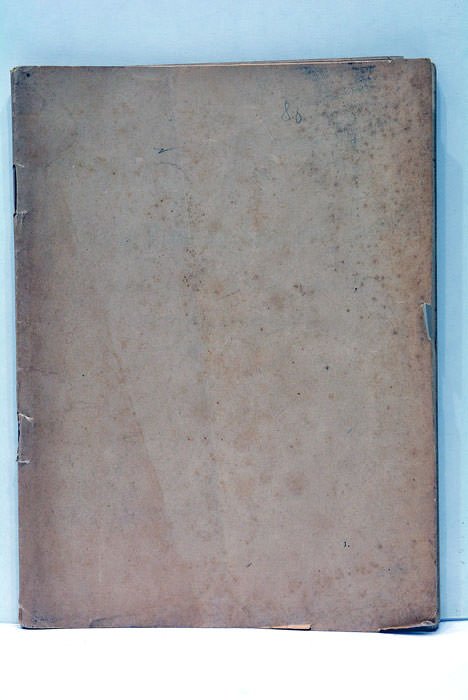 Dans la Brousse Zambézienne. Récit d'un Voyage au Bototela.