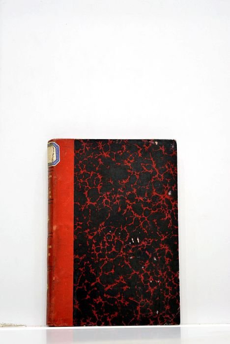 Dans la lumière antique. Le livre des dialogues. Les dialogues …