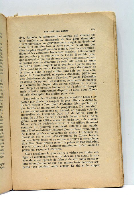 Dans les cavernes et jungles de l'Hindoustan.