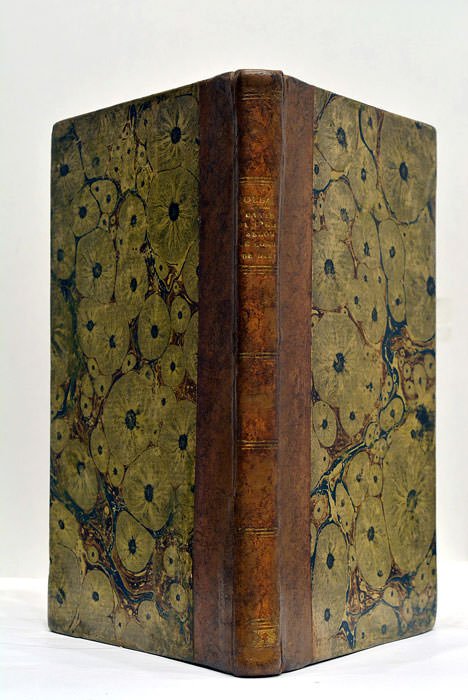 David, ou l'Histoire de l'Homme selon le Cœur de Dieu. …