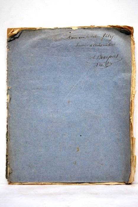 De l'entéropathie métallique. Thèse pour le doctorat en médecine présentée …