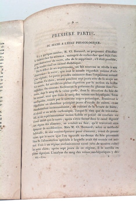 De l'origine du sucre chez les hommes et les animaux …