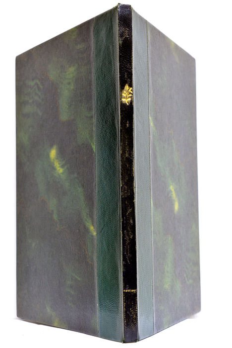 De Legitima Tutela curaq. Electorali Palatina, ex integro ad auream …