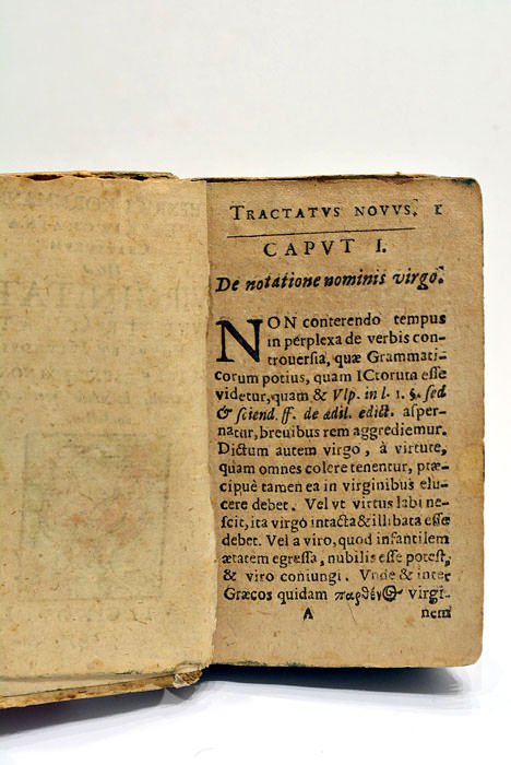 De Virginitatis iure tractatus novus et jocundus. Ex Iure Civili, …