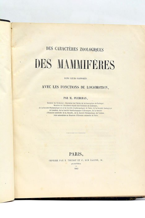 Des Caractères Zoologiques des Mammifères dans leurs rapports avec les …
