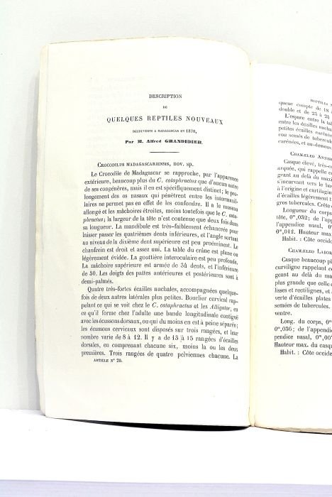 Description d'un Nouveau Mammifère Insectivore de Madagascar (Geogale Aurita).