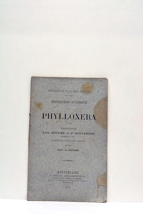 Destruction successive du Phylloxera.