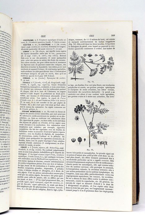 Dictionnaire de médecine de chirurgie, de pharmacie des sciences accessoires …