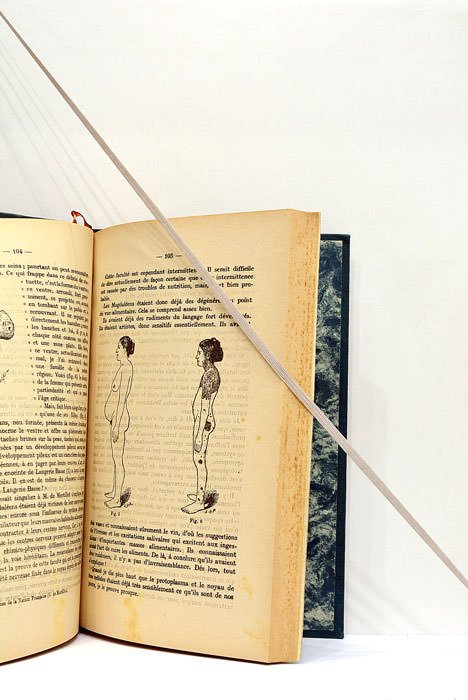 Discours d'un Empirique sur l'Alimentation.