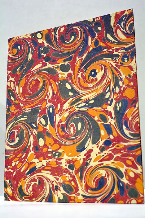 Dissertatio Inauguralis Medica de Noxis ex Neglectu Exanthematum Capitis Proficiscentibus …