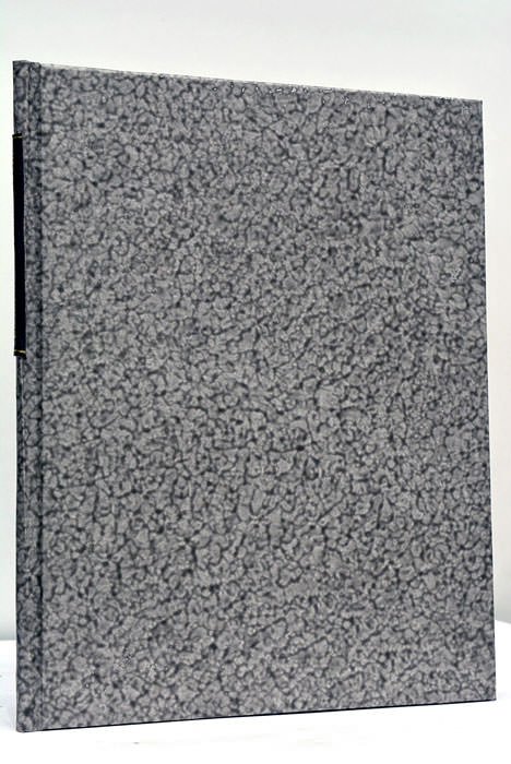 Dissertatio physico-mechanica de Ascensu Coni Duplicis Libero.