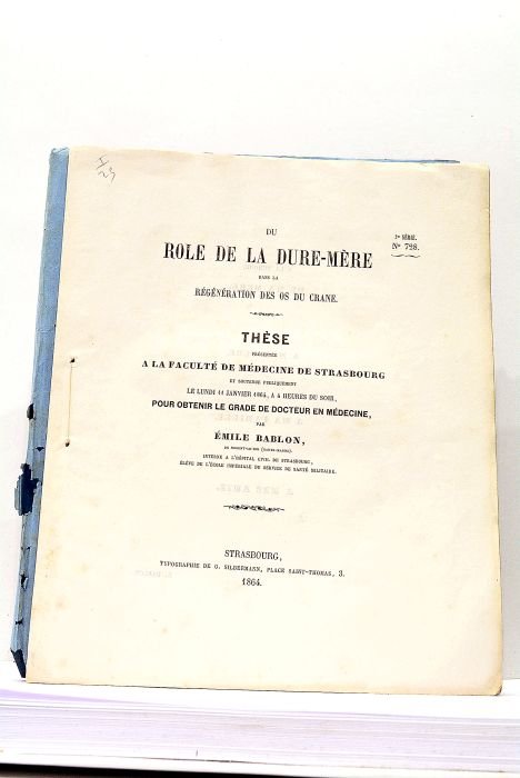Du rôle de la Dure-Mère dans la régénération des os …