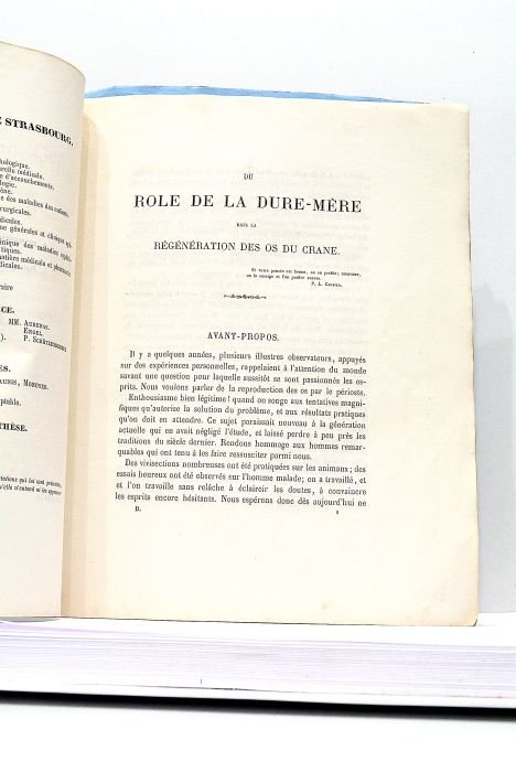 Du rôle de la Dure-Mère dans la régénération des os …