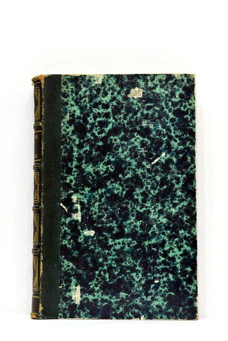 Du sommeil. Au point de vue physiologique et psychologique. Ouvrgae …