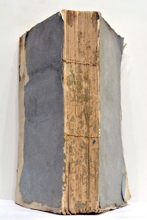 Elémens d’Histoire Naturelle.