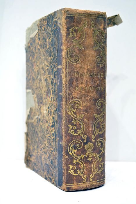 Eléonore et Sophie, ou les leçons de l'amitié. Ouvrage dédié …