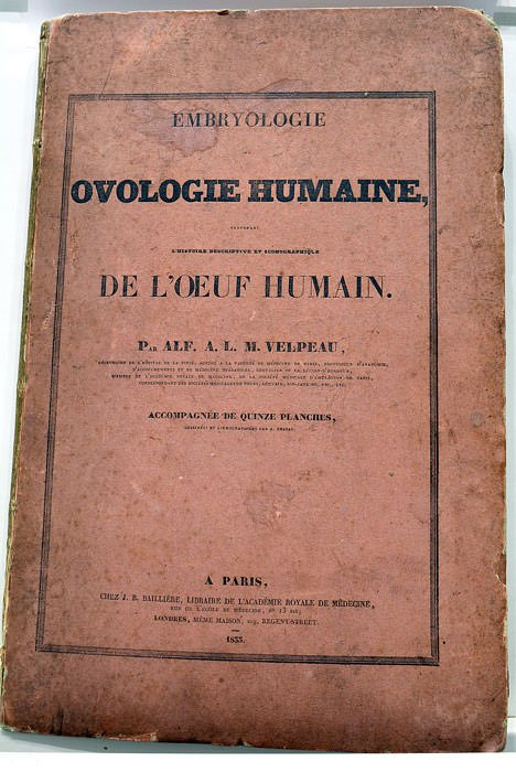Embryologie ou Ovologie Humaine, contenant l'Histoire Descriptive et Iconographique de …