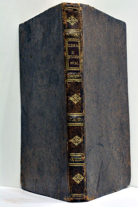 Epigrammata, quibus aliquot gesta augustissimmi Lusitanorum Regis Joannis V. Memoriae …