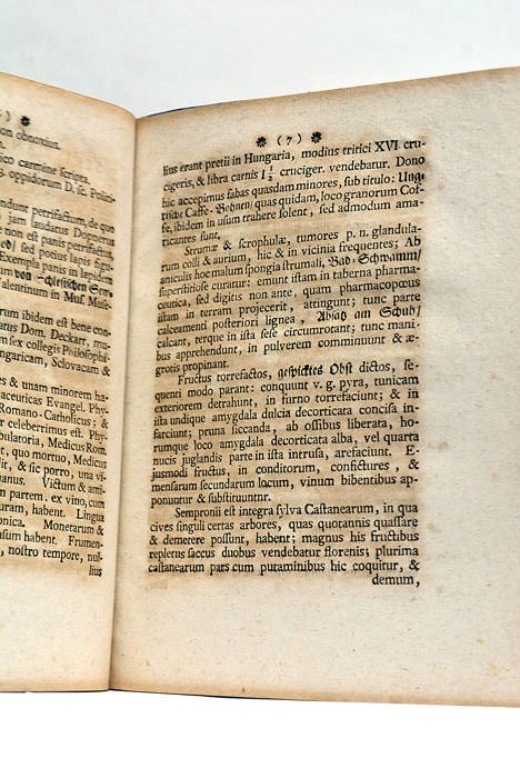 Epistola itineraria XXXVI. Sistens, Memorabilia semproniensia.