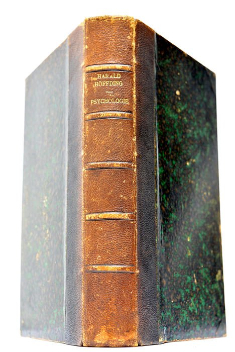 Esquisse d'une Psychologie fondée sur l'Expérience. Edition française, rédigée avec …
