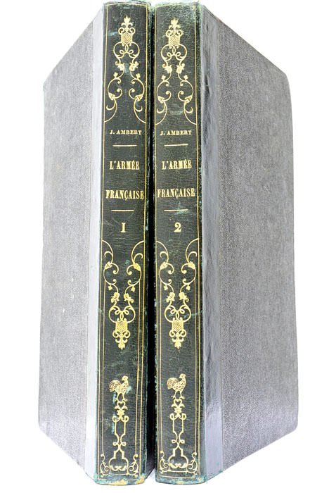 Esquisses historiques psychologiques et critiques de l'Armée Française.