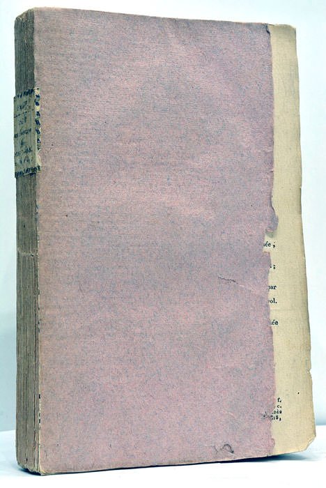 Essai sur l'Origine des Corps Organisés et Inorganisés, et sur …