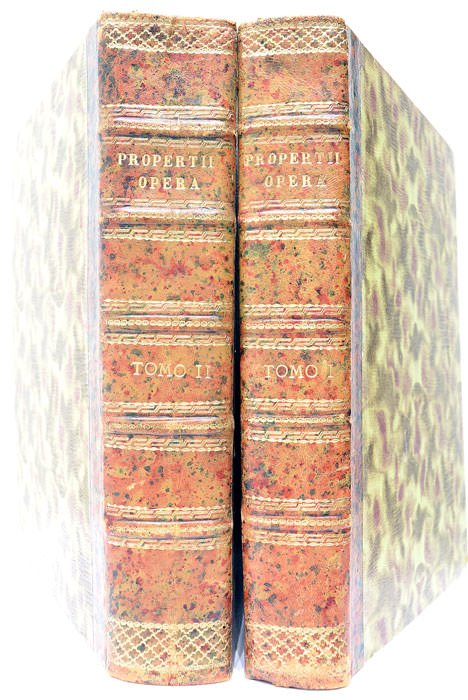 Et In Eum Joannis Passeratii Praelectiones Solennes, sive Commentarii, aliquantum …