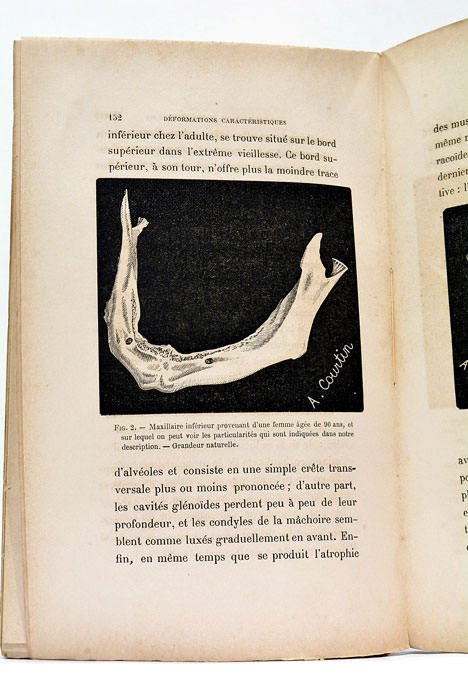 Études physiologiques et médicales sur quelques lois de l'organisme.