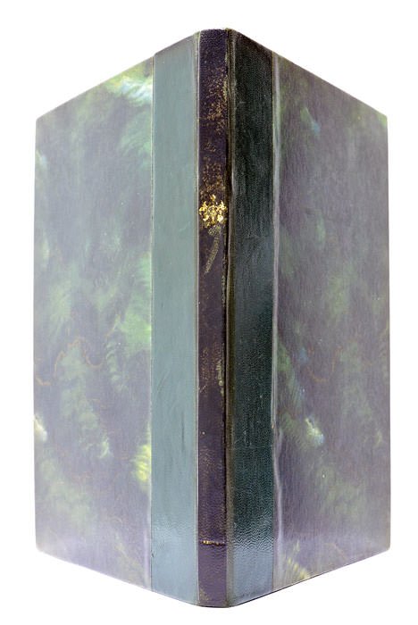 Exemplum Literarum ad serenissimum daniae et Norvegiae regem a Gallico …