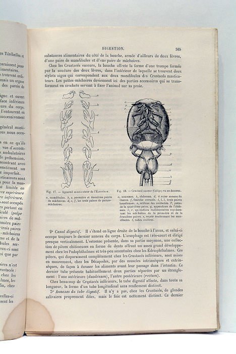Extrait du Dictionnaire Encyclopédique des Sciences Médicales.