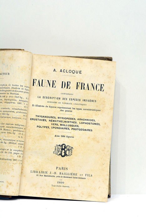 Faune de France. Contenant la description des espèces indigènes disposées …