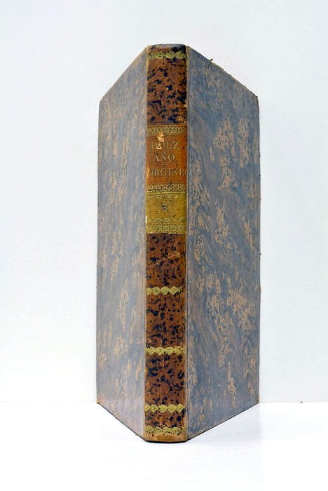 Finezas de la Gran Reyna del cielo Maria Santissima, Virgen, …