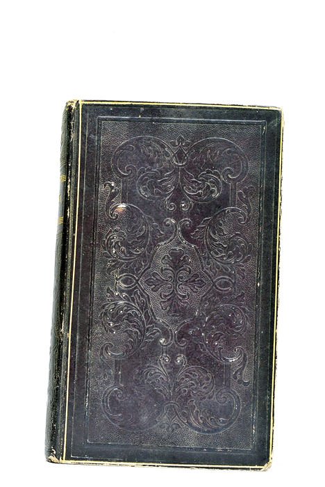 Firmin, ou le jeune voyageur en Égypte.