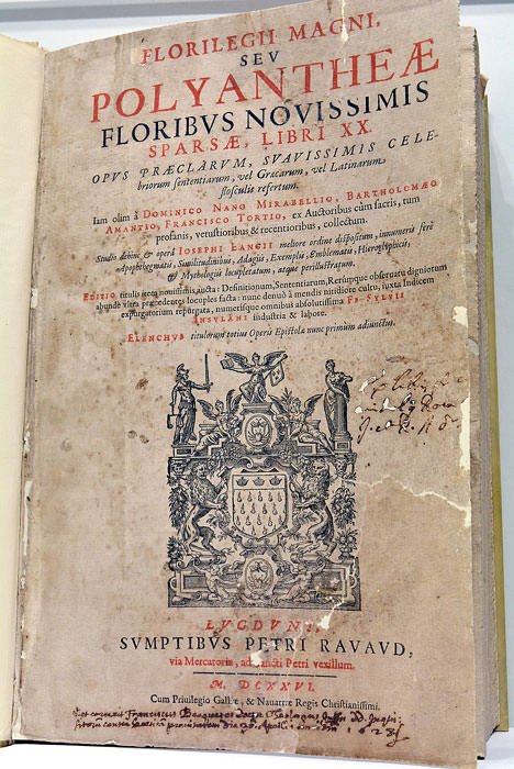 Florilegii Magnii, Seu, Polyantheae Floribvs Novissimis Sparsae Libri XX : …