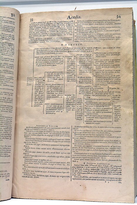 Florilegii Magnii, Seu, Polyantheae Floribvs Novissimis Sparsae Libri XX : …