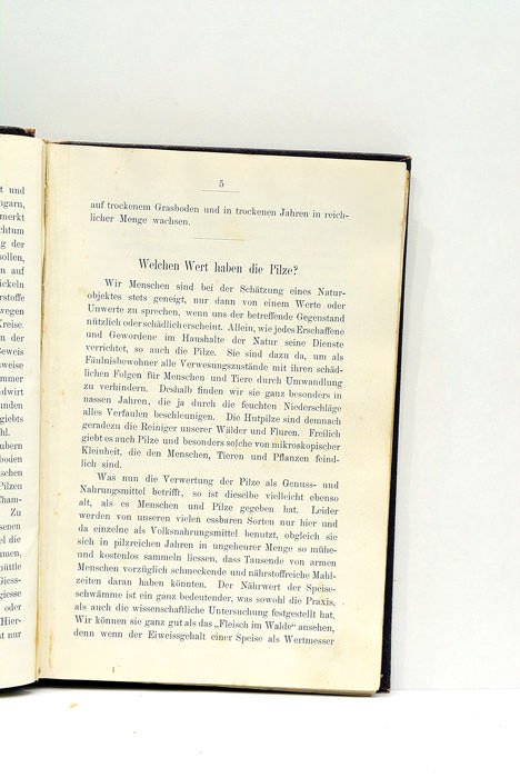 Führer für Pilzfreunde. Die am häufigsten vorkommenden essbaren, verdächtigen und …